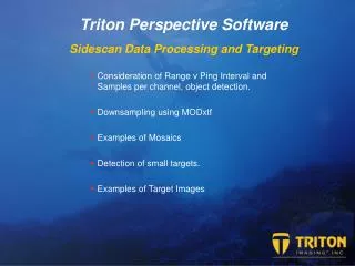 Triton Perspective Software Sidescan Data Processing and Targeting