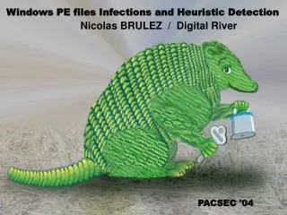 Windows PE files Infections and Heuristic Detection