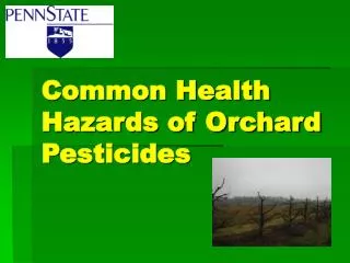Common Health Hazards of Orchard Pesticides
