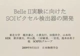 belle ii soi