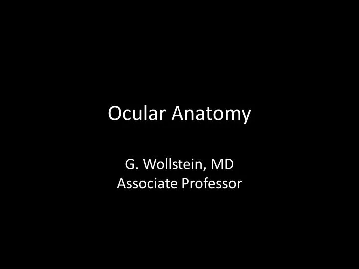 ocular anatomy