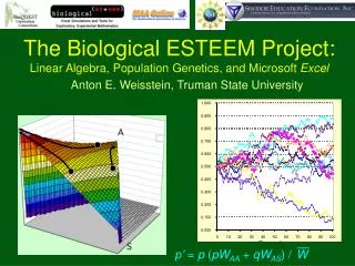 The Biological ESTEEM Project: Linear Algebra, Population Genetics, and Microsoft Excel