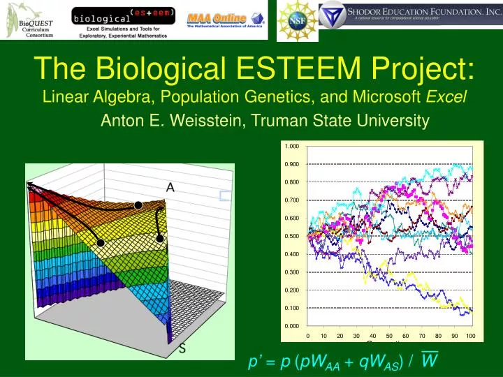 the biological esteem project linear algebra population genetics and microsoft excel