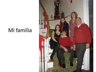 mi familia