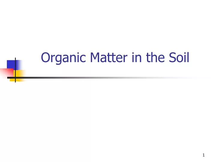 organic matter in the soil