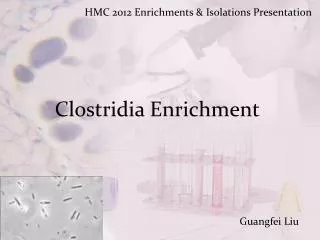 Clostridia Enrichment