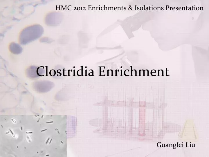 clostridia enrichment