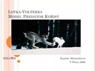 lotka volterra model pred tor ko ist