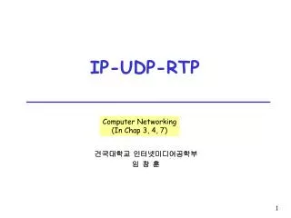 ip udp rtp