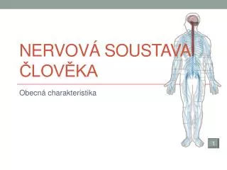 nervov soustava lov ka