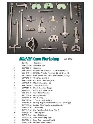 Mini IM Knee Workshop