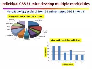 Individual CB6 F1 mice develop multiple morbidities