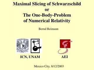 Maximal Slicing of Schwarzschild or The One-Body-Problem of Numerical Relativity