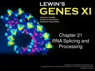 Chapter 21 RNA Splicing and Processing