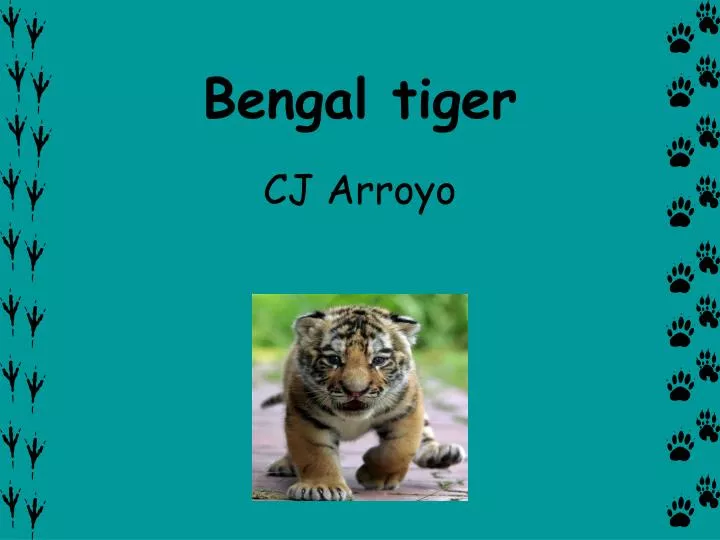 bengal tiger