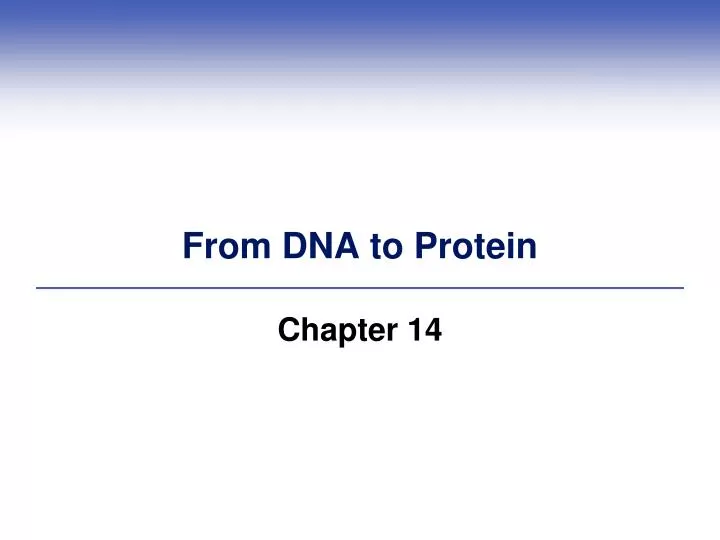 from dna to protein