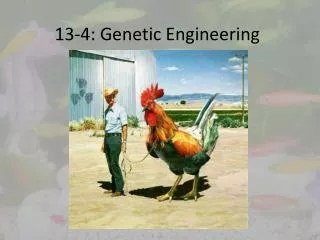 13-4: Genetic Engineering