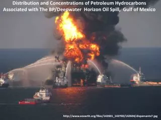 Distribution and Concentrations of Petroleum Hydrocarbons