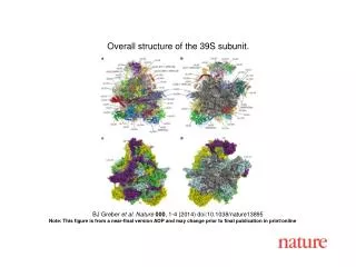 BJ Greber et al. Nature 000 , 1-4 (2014) doi:10.1038/nature13895