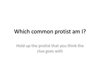 Which common protist am I?