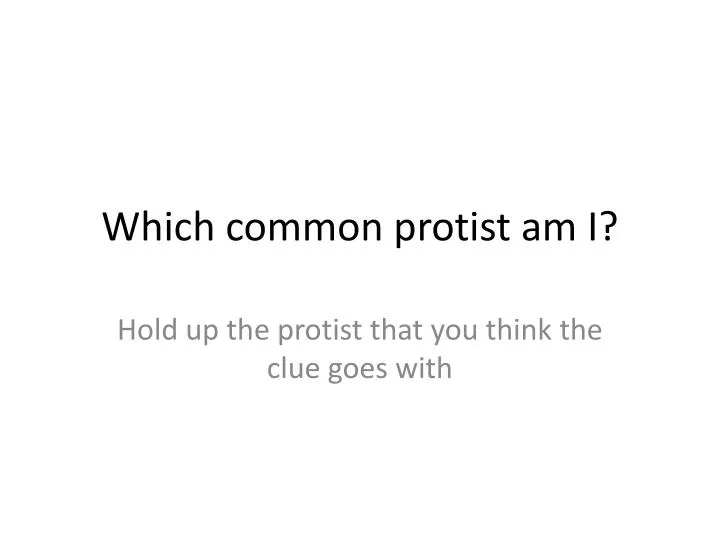which common protist am i