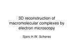 PPT - Macromolecular Electron Microscopy PowerPoint Presentation, free ...