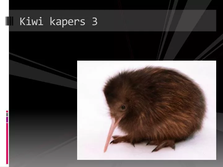 kiwi kapers 3