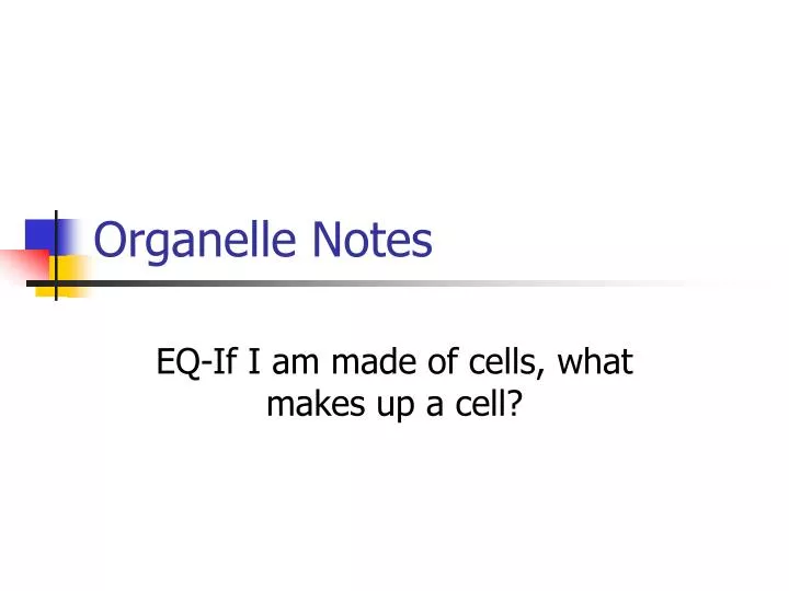 organelle notes