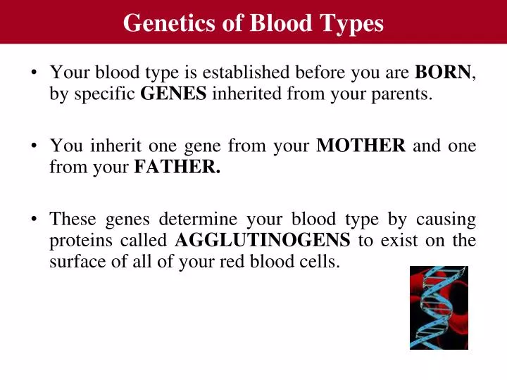 genetics of blood types