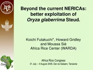 Beyond the current NERICAs: better exploitation of Oryza glaberrima Steud.