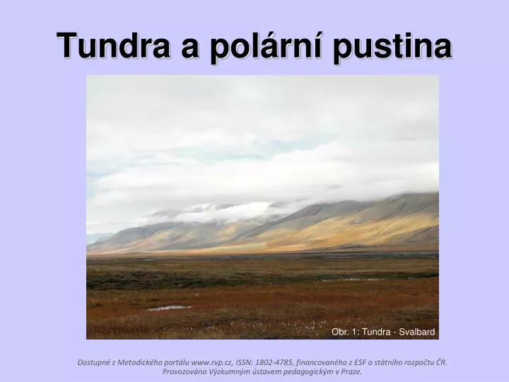 tundra a pol rn pustina