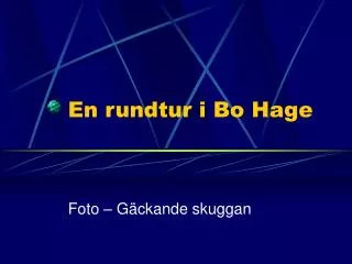 en rundtur i bo hage
