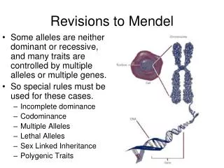 Revisions to Mendel