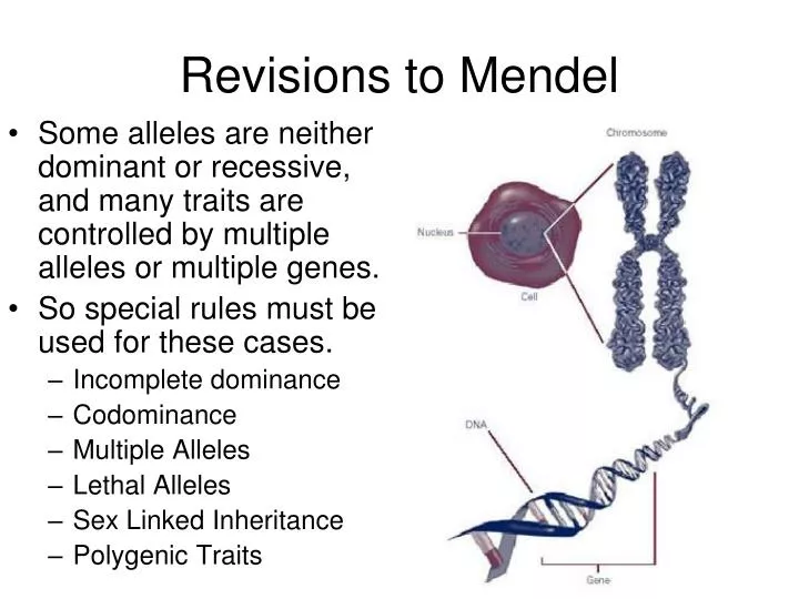 revisions to mendel