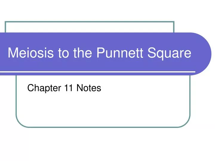 Ppt Meiosis To The Punnett Square Powerpoint Presentation Free