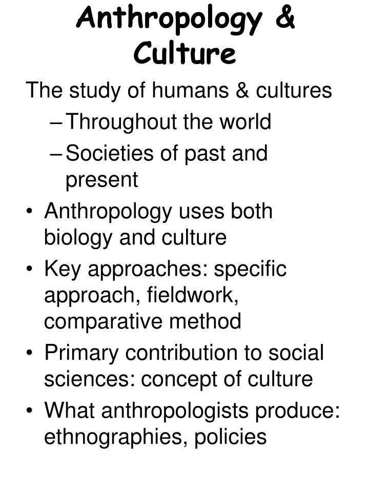 anthropology culture