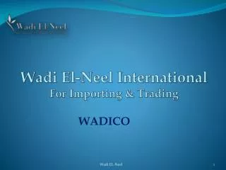 Wadi El-Neel International F or Importing &amp; Trading