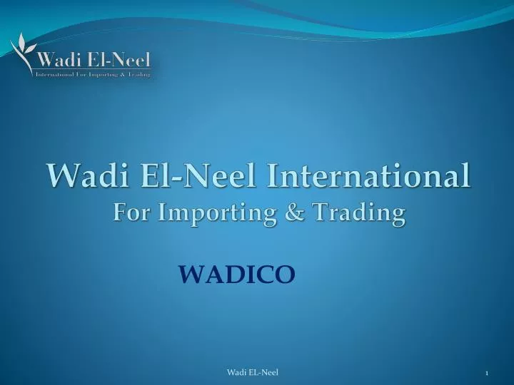 wadi el neel international f or importing trading
