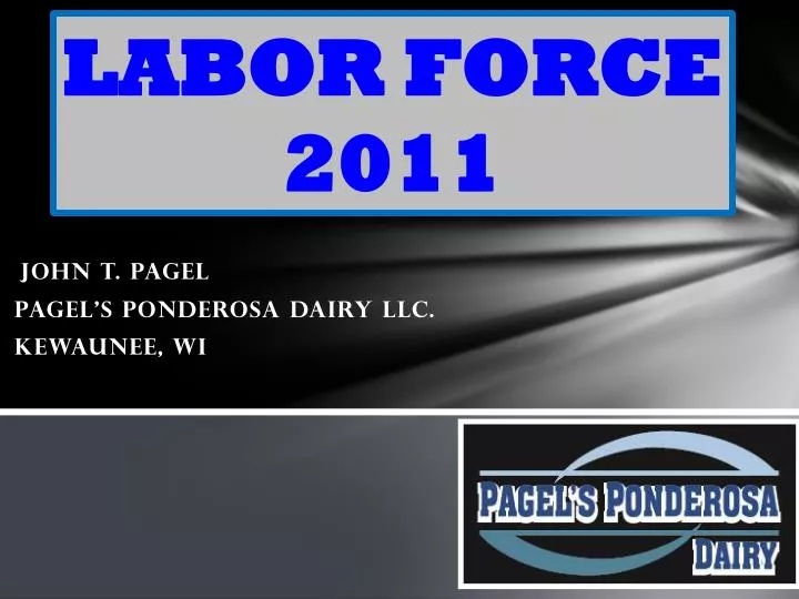 labor force 2011