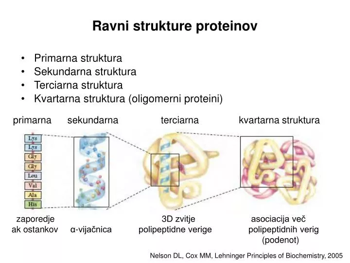 ravni strukture proteinov