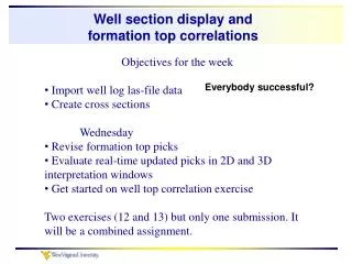 Well section display and formation top correlations