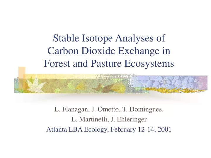 stable isotope analyses of carbon dioxide exchange in forest and pasture ecosystems