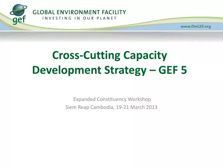 cross cutting capacity development strategy gef 5
