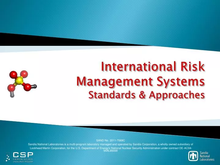 international risk management systems standards approaches