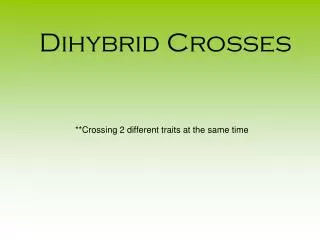 Dihybrid Crosses