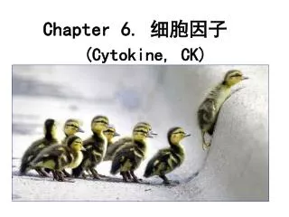 chapter 6