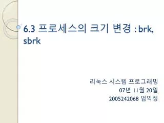 6 3 brk sbrk