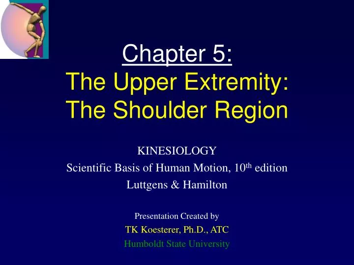 chapter 5 the upper extremity the shoulder region