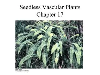 Seedless Vascular Plants Chapter 17