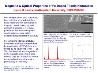 Fig. 4. SEM images of iron-incorporated titania nanotubes .
